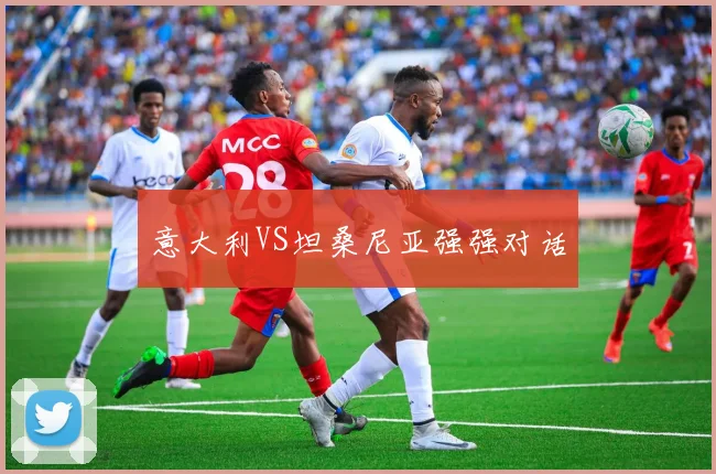 意大利VS坦桑尼亚强强对话
