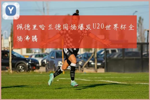 佩德里哈兰德同场爆发U20世界杯全场沸腾