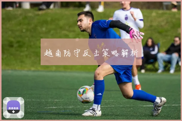 越南防守反击策略解析