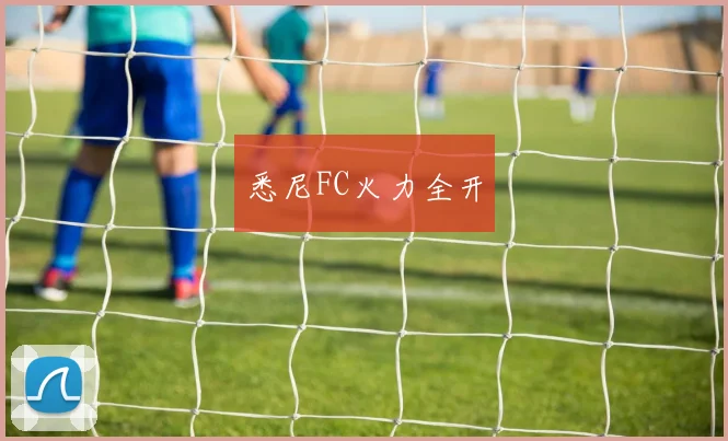 悉尼FC火力全开