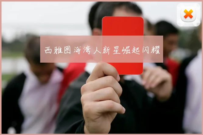 西雅图海湾人新星崛起闪耀