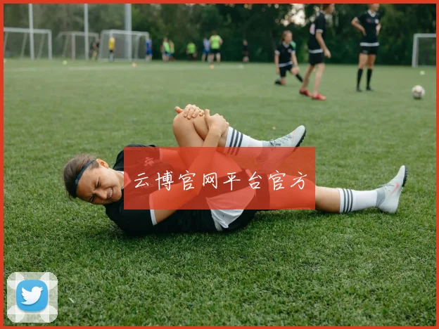 云博官网平台官方