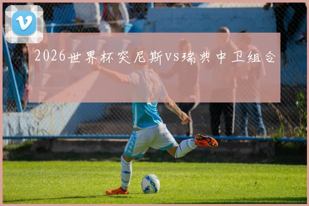 2026世界杯突尼斯vs瑞典中卫组合