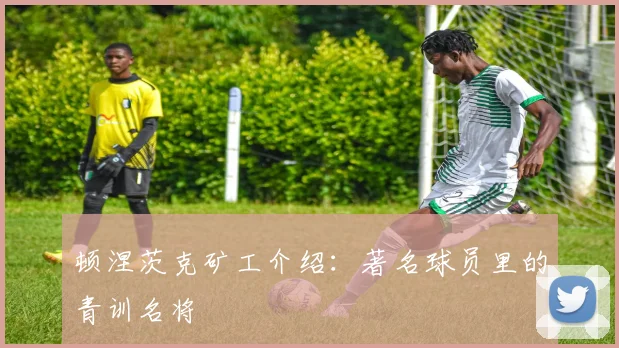 顿涅茨克矿工介绍：著名球员里的青训名将