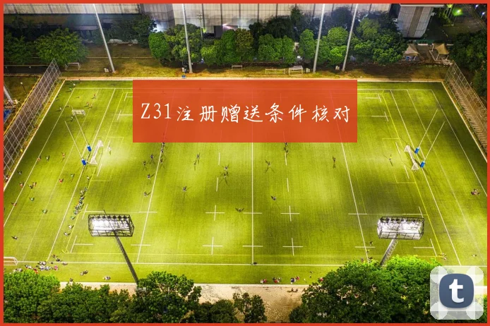 Z31注册赠送条件核对