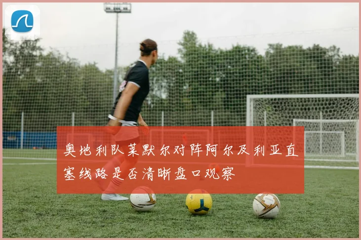 奥地利队莱默尔对阵阿尔及利亚直塞线路是否清晰盘口观察