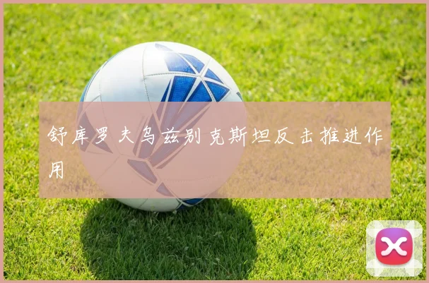 舒库罗夫乌兹别克斯坦反击推进作用