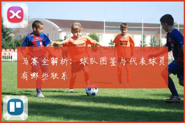 马赛全解析：球队图鉴与代表球员有哪些联系