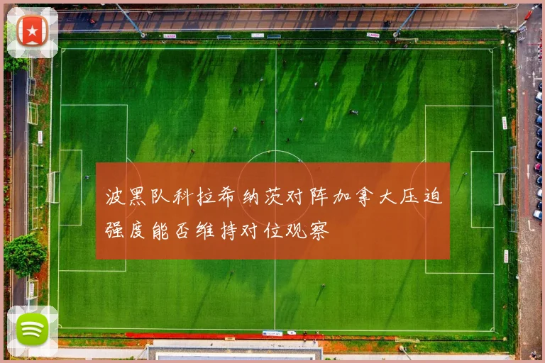 波黑队科拉希纳茨对阵加拿大压迫强度能否维持对位观察