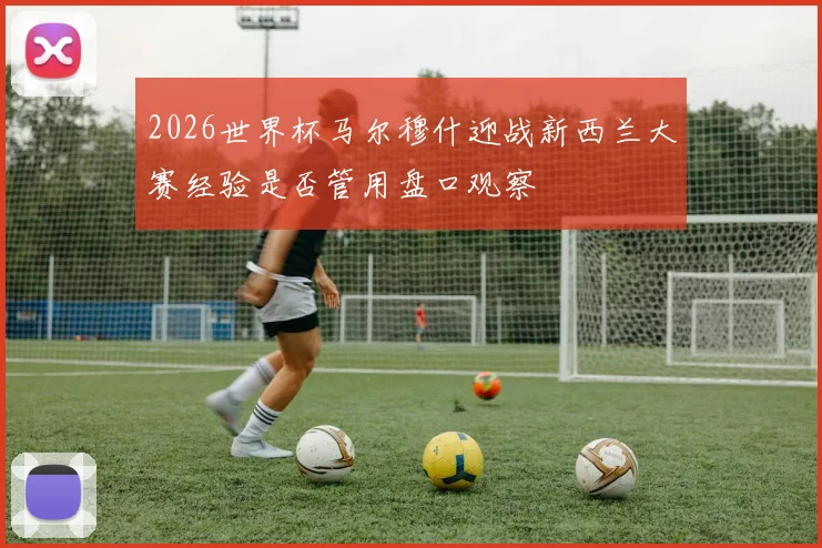 2026世界杯马尔穆什迎战新西兰大赛经验是否管用盘口观察
