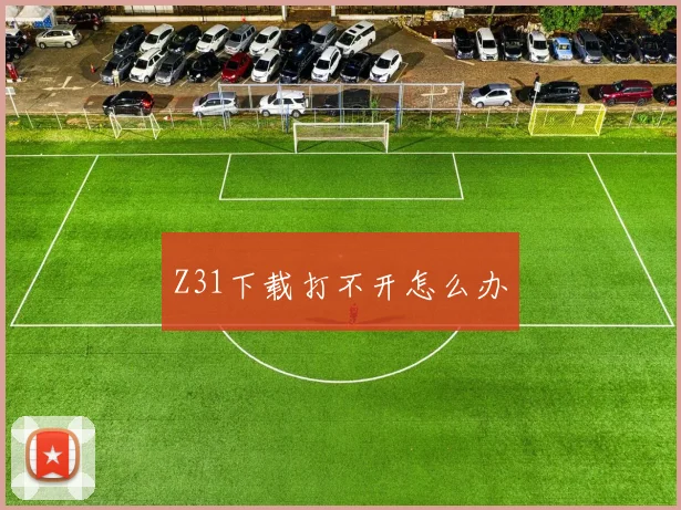 Z31下载打不开怎么办