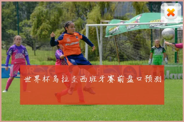 世界杯乌拉圭西班牙赛前盘口预测
