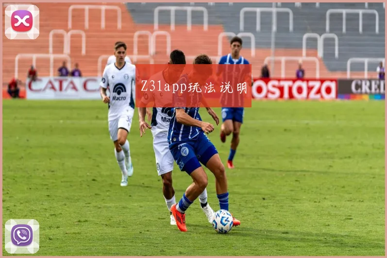 Z31app玩法说明